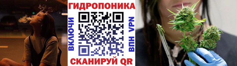 Виды наркоты Тогучин Каннабис  Кокаин  Гашиш  Галлюциногенные грибы  Меф мяу мяу 