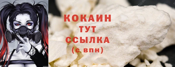 прущие грибы Осташков