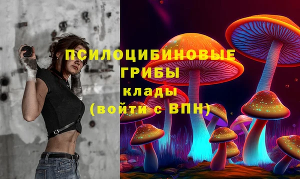 кокс Алексеевка